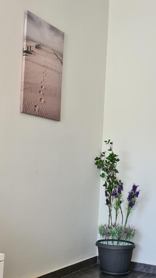 Nissi Twins Apts Appartement Ayía Nápa